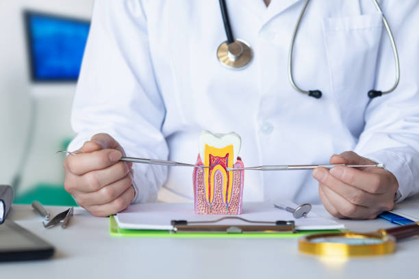 Best Cracked Tooth Emergency Dentist  in Warren, IN